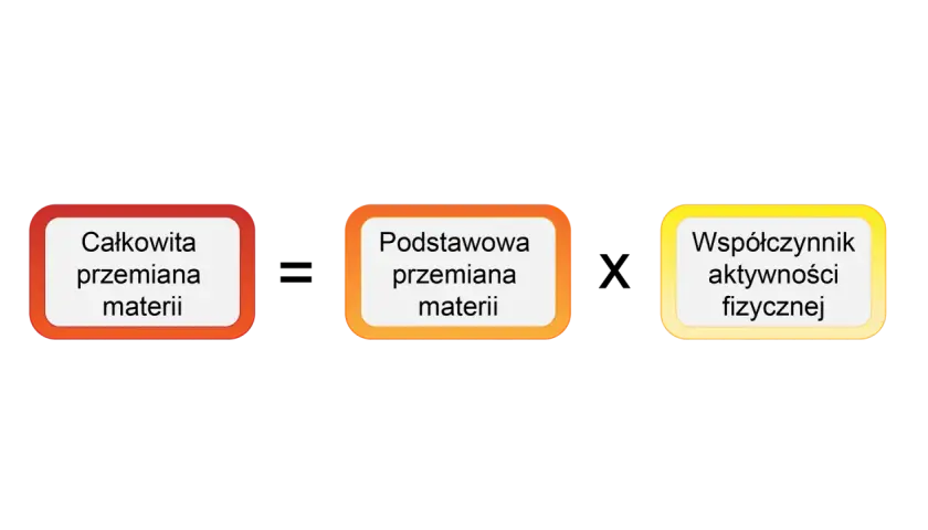 Trzy pola: "Całkowita przemiana materii", "Podstawowa przemiana materii" i "Współczynnik aktywności fizycznej".